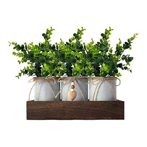 CALAVAK feature image