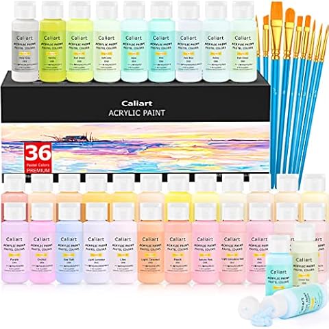 Aen Art Acrylic Paint Set 16 Colors Painting Supplies for Canvas Wood  Fabric Ceramic Crafts Non