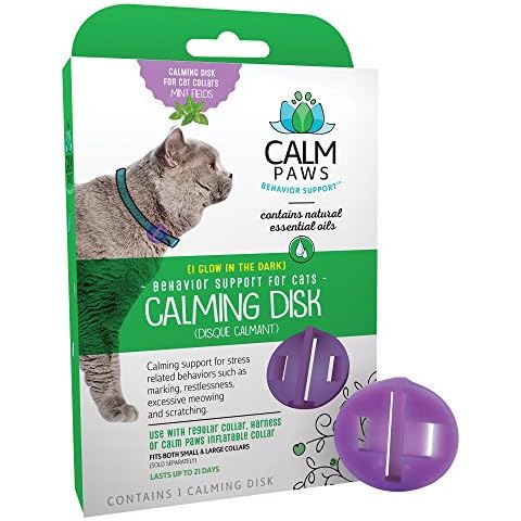 Calm Paws Behavior Support thumbnail