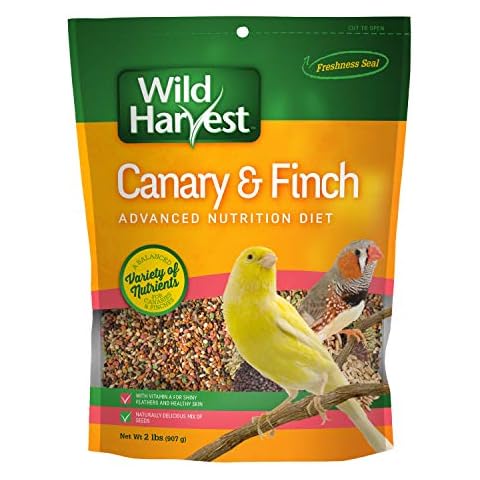 Canaries Bird Food