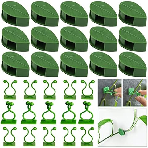 Clear Bra Strap Holders, Bra Clips for Back, Bra Strap Clips to Conceal  Straps Women Non Slip Invisible(13PCS)