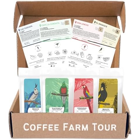 Canopy Point Coffee thumbnail