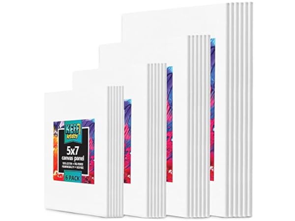 Horizon Group USA 9x12 Pre-Stretched Canvas Value Pack of 8, Primed,  Perfect for Painting Projects, Watercolor, Oil & Acrylic Paints, Paint  Canvas for