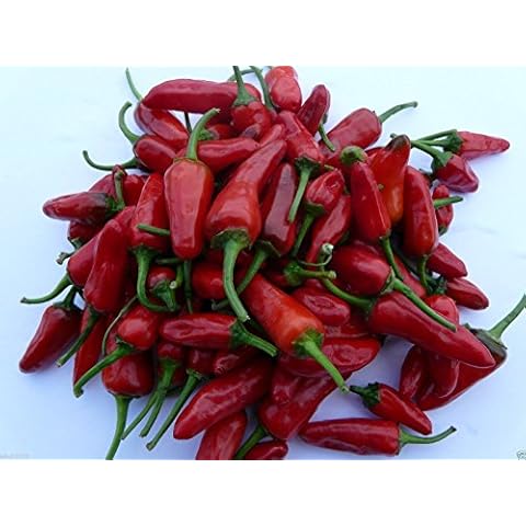 CARIBBEAN GARDEN SEEDS thumbnail