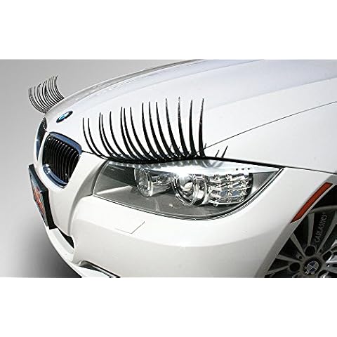 Carlashes thumbnail