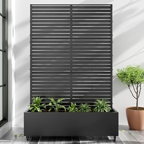 CASAPHORIA feature image