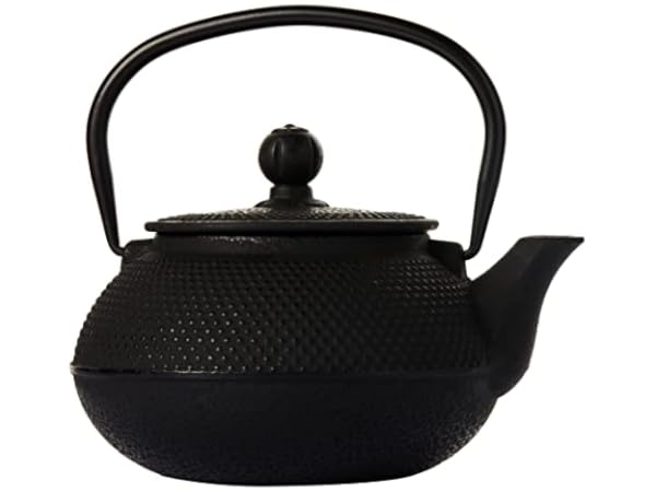 Toptier Tea Kettle for Stove Top, Cast Iron Teapot Stovetop Safe with Infusers for Loose Tea, 22 oz, Light Green