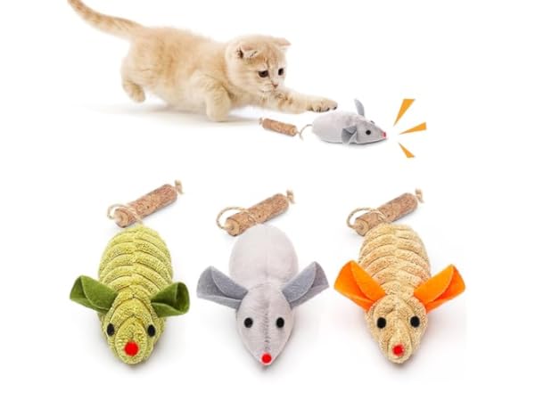 Cat Animals Toys thumbnail