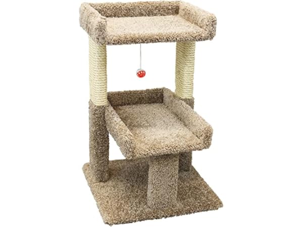 Cat Condos thumbnail