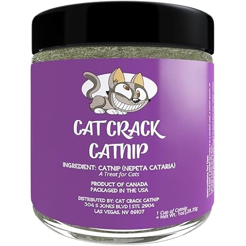 Cat Crack thumbnail
