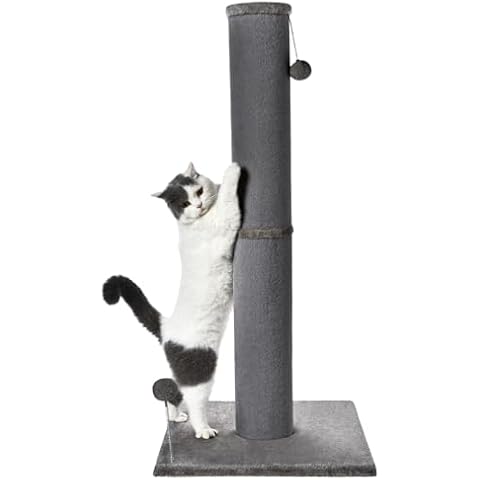 Cat Craft thumbnail
