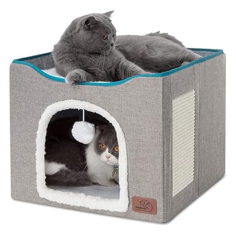 Cat Houses