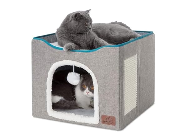 Cat Houses thumbnail
