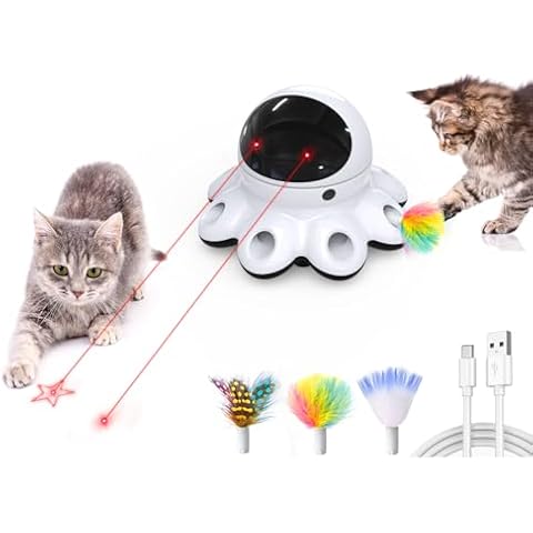 Cat Laser Pointers