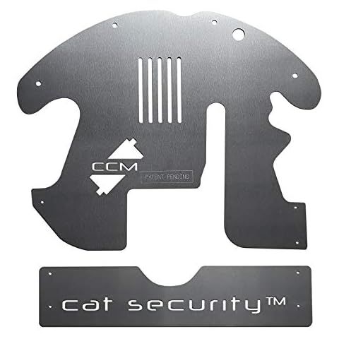 Cat Security thumbnail