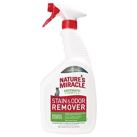 Cat Stain Removers
