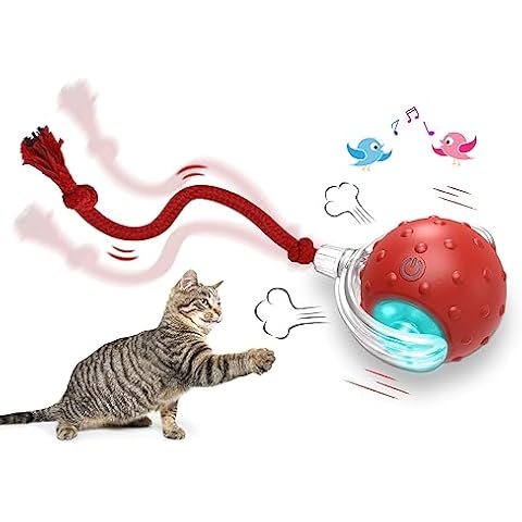 Cat Toy Balls