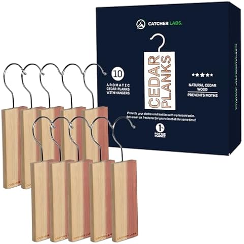 Catcher Labs. thumbnail