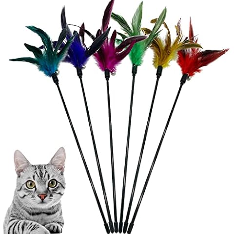 CATENESS thumbnail
