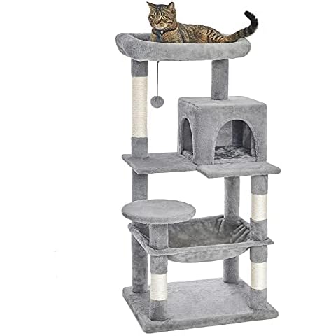 Catinsider thumbnail