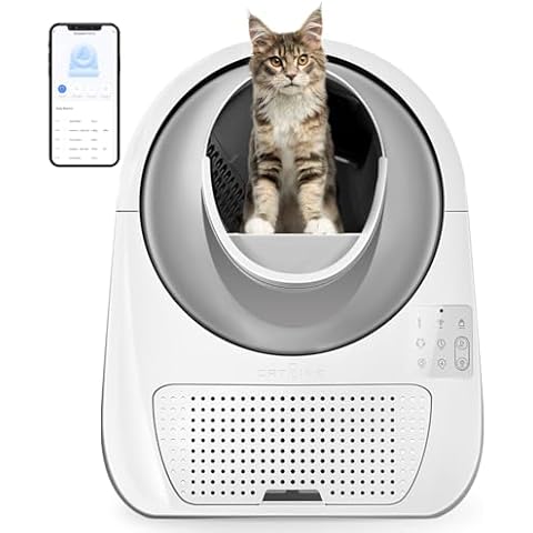 CATLINK thumbnail