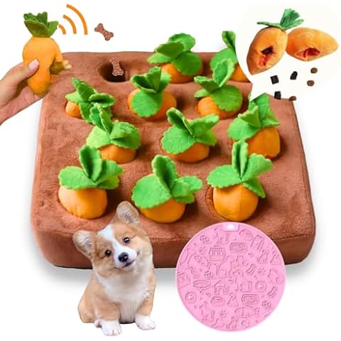 CECE PAW thumbnail