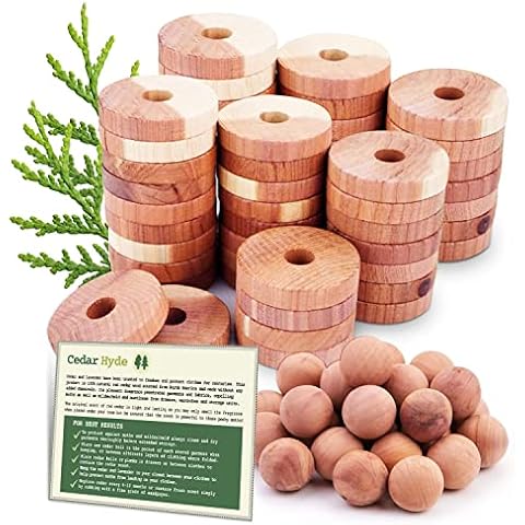 Cedar Home thumbnail