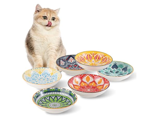 https://us.ftbpic.com/product-amz/ceramic-cat-bowls/51bx2u2+sWL.__CR0,0,600,450.jpg