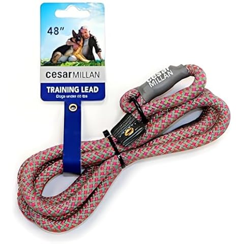 Cesar Millan thumbnail