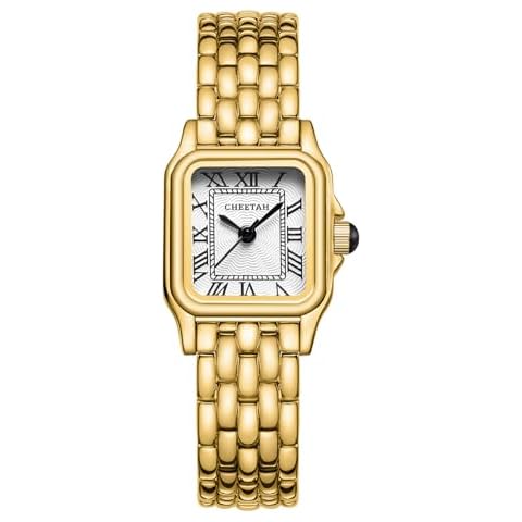 Cheetah feature image