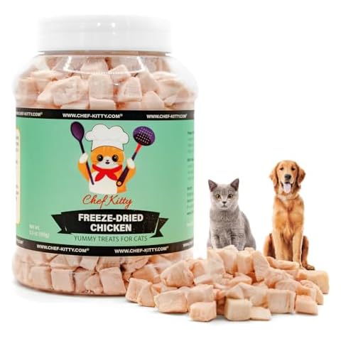 Chef Kitty feature image