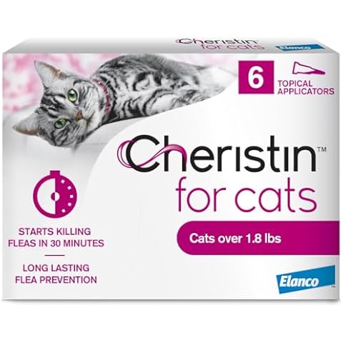 Cheristin thumbnail