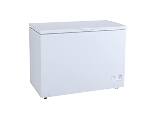 The 10 Best Chest Freezers of 2024 (Reviews) - FindThisBest