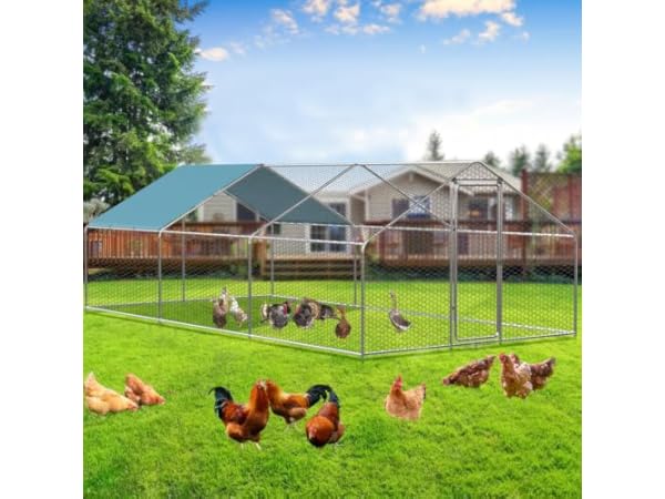 Chicken Coops Thumbnail