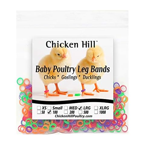 Chicken Hill thumbnail