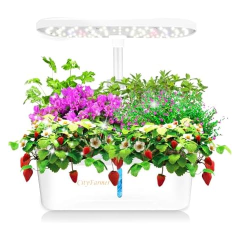 CityFarmer thumbnail