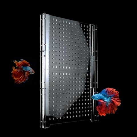 CLarellara thumbnail