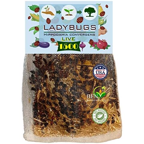 Clark&Co Organic thumbnail