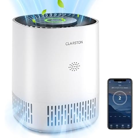 CLARSTON thumbnail