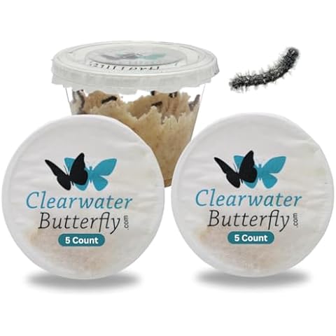 Clearwater Butterfly Company thumbnail