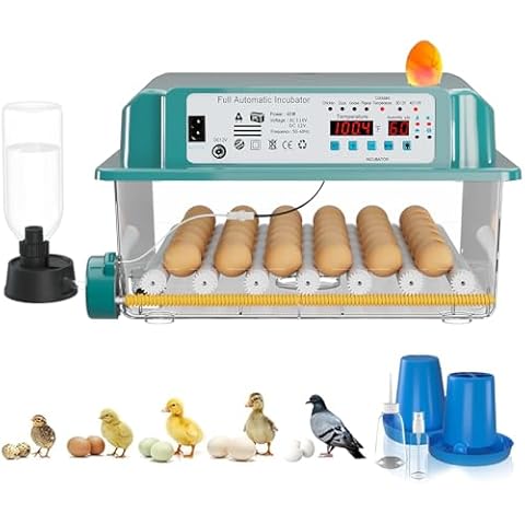 CoInceptus thumbnail