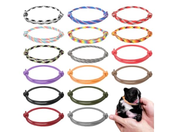 The 10 Best Collars for Rabbit of 2026 (Reviews) - FindThisBest