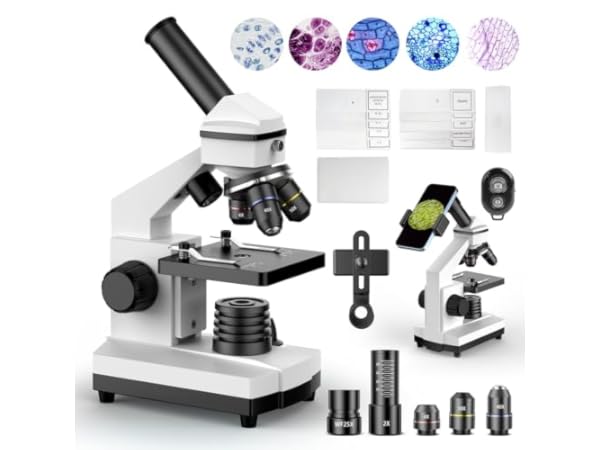 Compound Microscopes Thumbnail