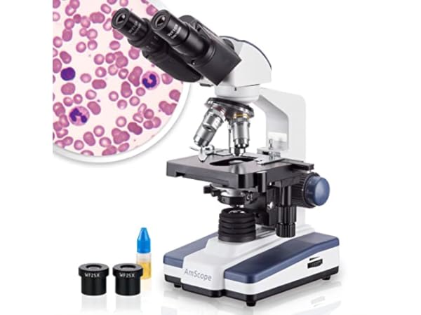 Compound Microscopes Thumbnail