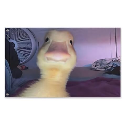 Conank thumbnail