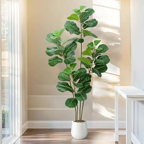 Conviviala thumbnail