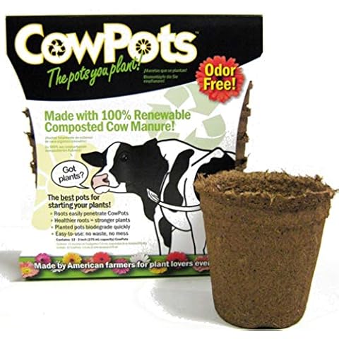 CowPots thumbnail
