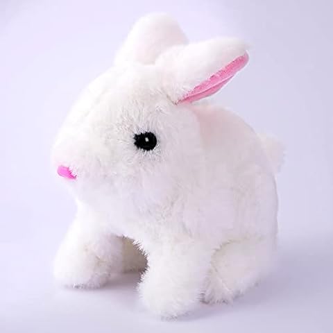 https://us.ftbpic.com/product-amz/crejohy-interactive-bunny-toys-for-kids-hopping-bunny-toys-can/31KrqckdggL._AC_SR480,480_.jpg
