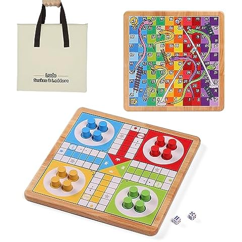 Magnetic Snakes and Ladders Board Game Set - 9.6 Inches