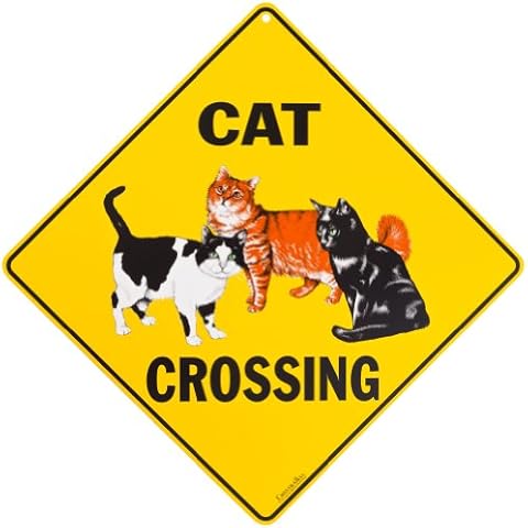 CROSSWALKS thumbnail